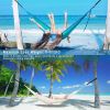 Tree Swing Hanging Straps Strong Hammock Chair Belts Kit - Black